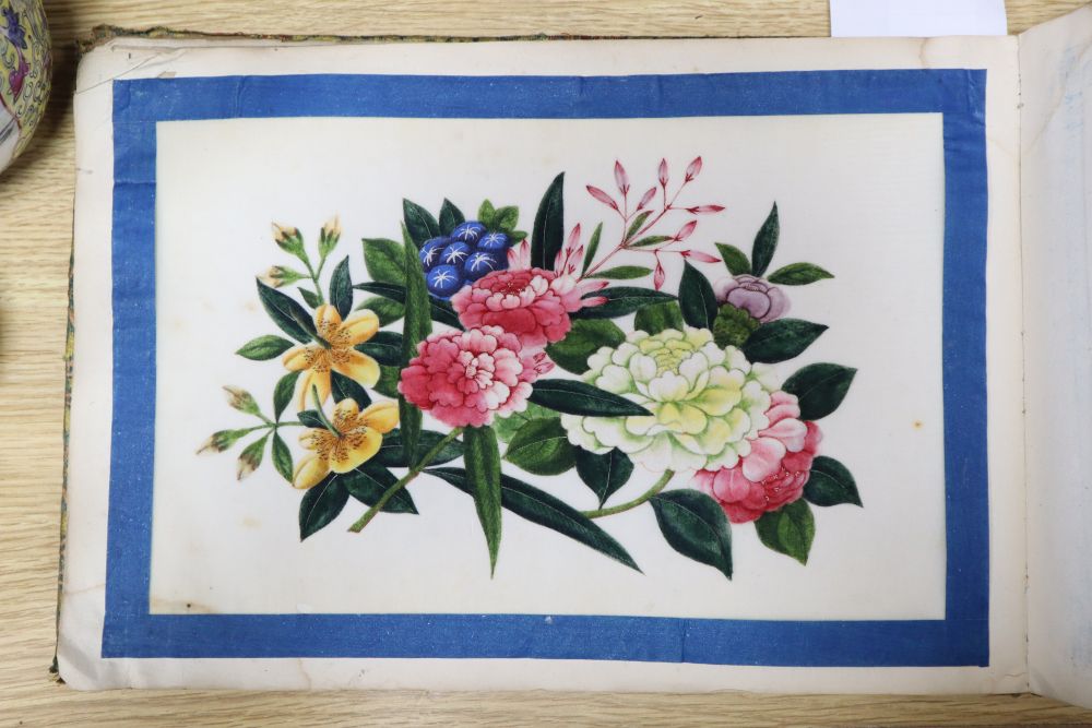 A 19th century Cantonese album of botanical studies on pith paper